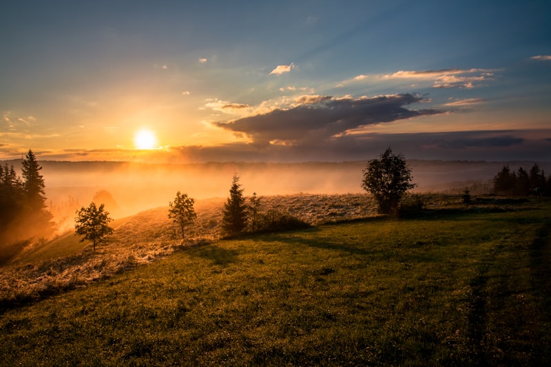 Meadow amphitheater at sunset